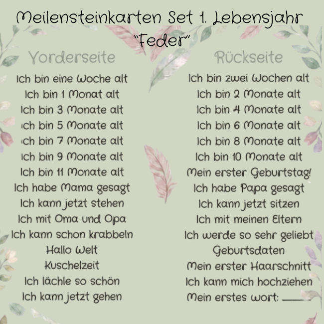 Meilensteinkarten Set 1. Lebensjahr „Feder“ – 30 Holzkarten beidseitig lasergraviert