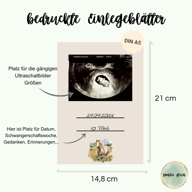 Personalisierbares Ultraschallalbum Pferdekopf