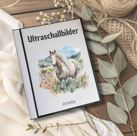 Personalisiertes Deckblatt des Ultraschallalbums mit Aquarell-Pferd und dem Namen Amelie