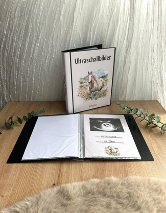 Aufgeschlagenes Ultraschallalbum mit eingeklebtem Ultraschallbild, Datum 29.09.2024, 10. Woche und Pferde-Illustration