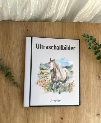 Personalisiertes Deckblatt des Ultraschallalbums mit Aquarell-Pferd und dem Namen Amelie